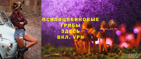 PSILOCYBIN Абдулино